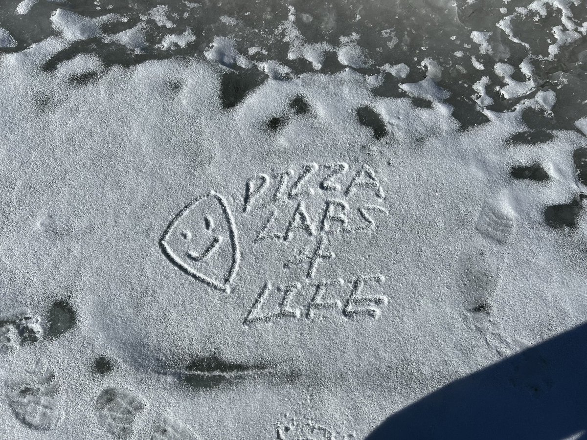 PIZZA LABS 4 LIFE