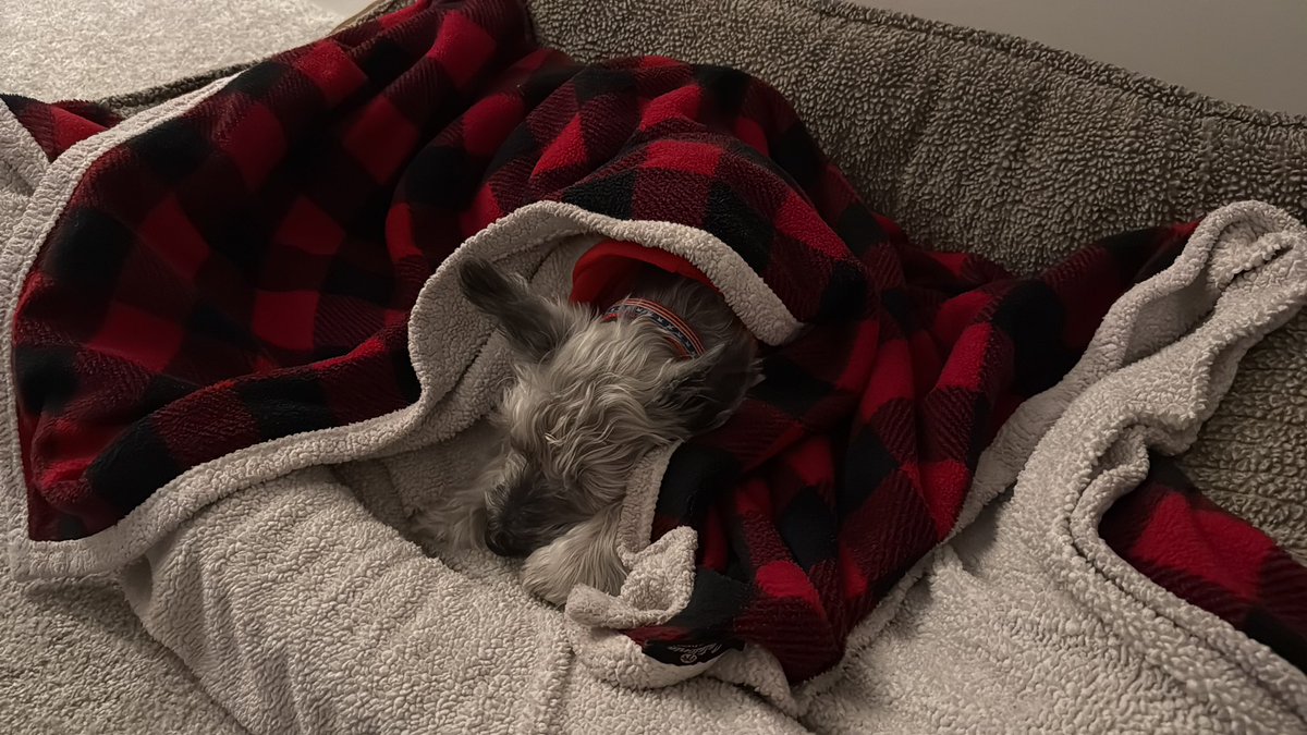 Kyle Bundy tweet media