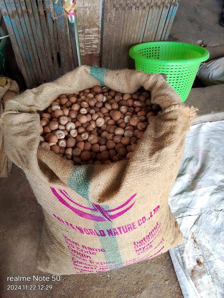 Assalamu Alaikum,
I hope everyone is doing well. Alhamdulillah, by the grace of Allah, I am also doing fine. If anyone needs dried betel nuts from Myanmar or Indonesia, you can contact me at the number provided below.  +917896472619 only whatsapp number 

Thank you!
