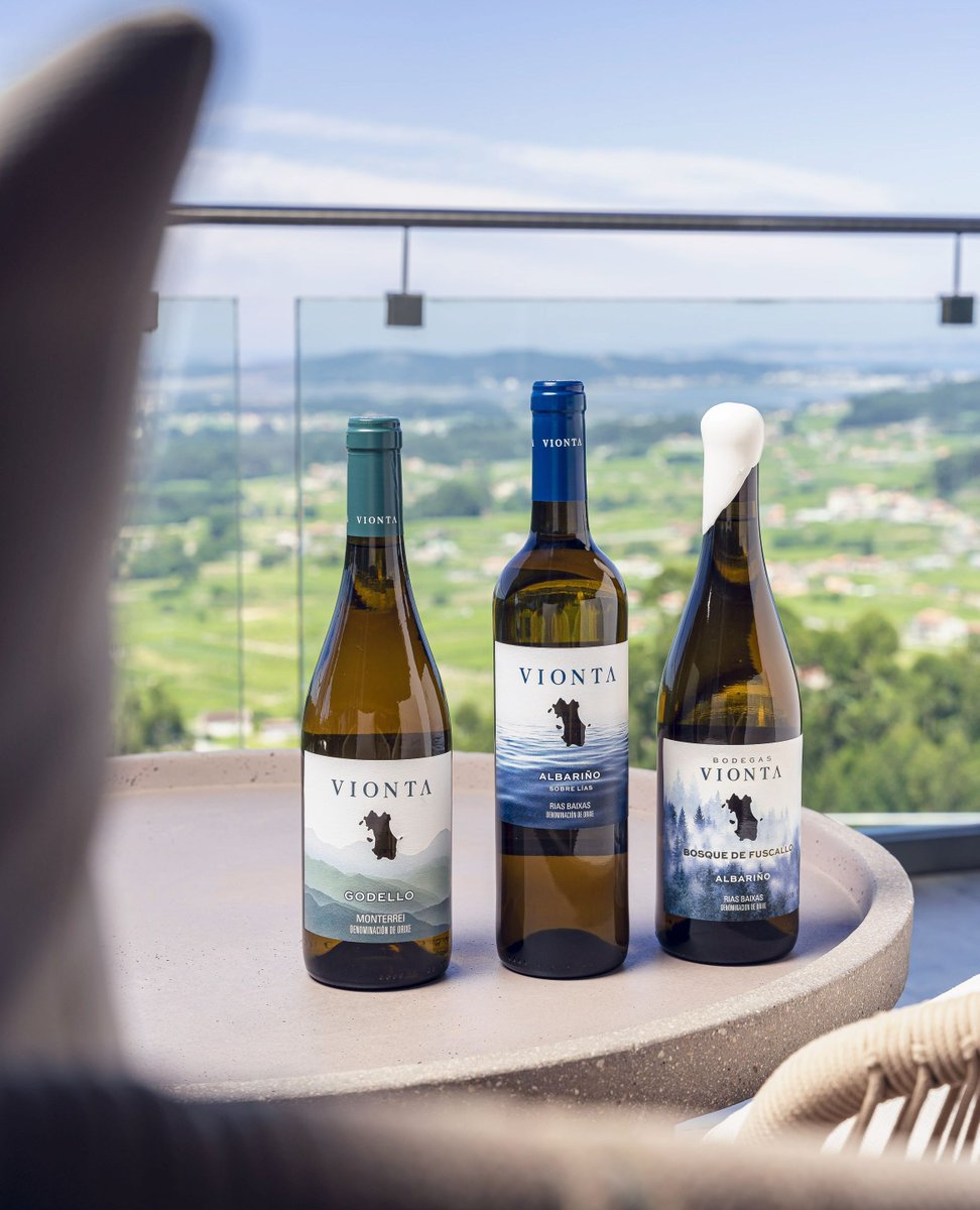 ✨ Esta noche llegan los Reyes Magos…

Nosotros ya tenemos a nuestros tres reyes particulares: Vionta Godello, Vionta Albariño y Vionta Bosque de Fucallo. 💙

¿Cuál será tu favorito? 🥂 Descúbrelos todos aquí: ferrerwines.com/vionta/

❗WINE IN MODERATION