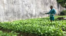 elsalisss's tweet photo. Gardening requires patience and dedication https://t.co/dLEOtT8Tni