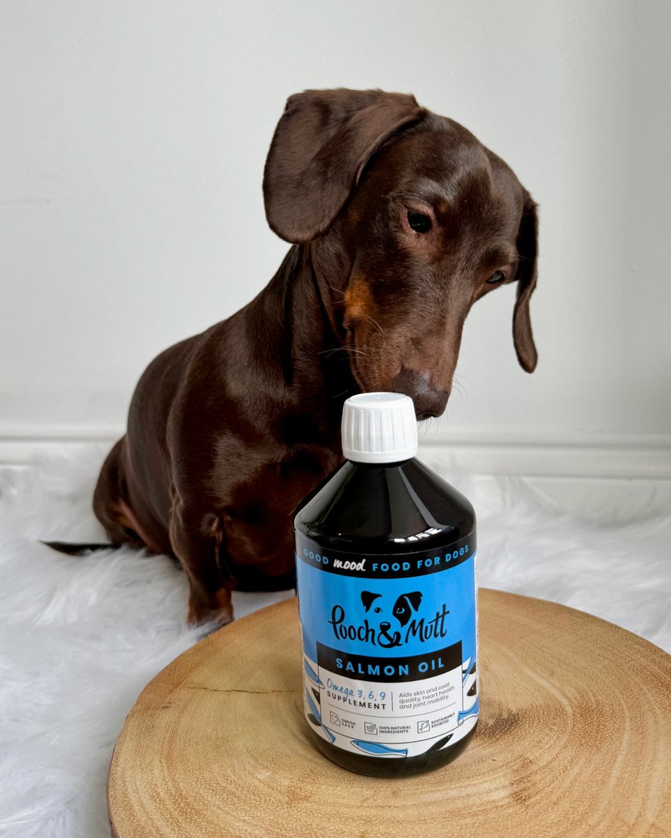 Have you tried our Salmon Oil? 💙

It can be so beneficial for your dogs health, including skin and coat quality, heart health, immune response, brain function and joints🐟

📷 frankie_dachshund03

#SalmonOilForDogs #FishOil #DogFood #DogSupplements #DogHealth