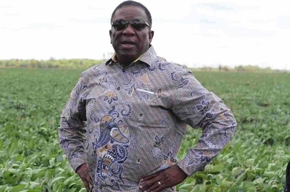 🔵AT least US$50 000 in public funds is likely to be spent on hotel bills for parliamentarians that will visit President Emmerson Mnangagwa’s Precabe farm in the Midlands amid suspicions that it is part of a campaign to extend his rule beyond 2028.
thestandard.co.zw/news/article/2…