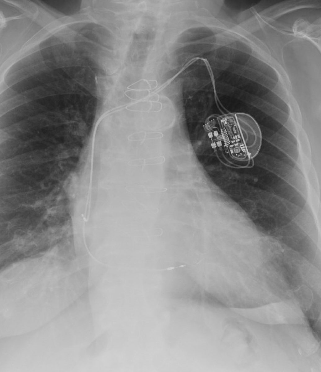 Albert Lin, MD tweet media