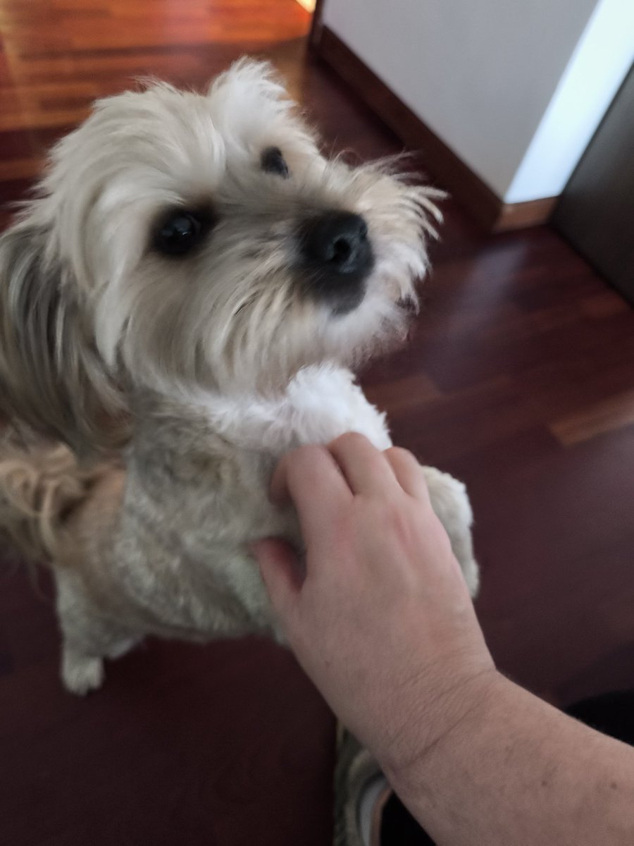 La amo! Mi #Noa 😍❤️😍🫶🏻