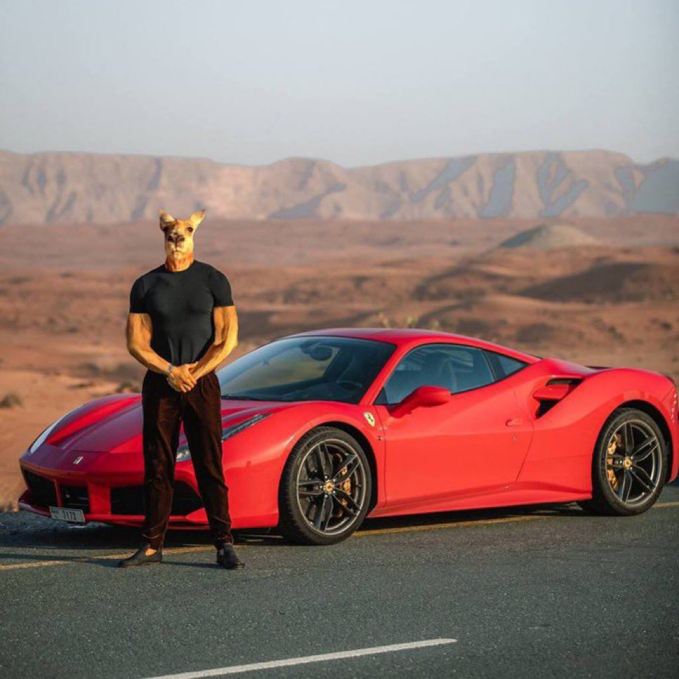 RogerCoinOnSol's tweet image. Roo’s still flexin’, no days off.
$Roger stays legendary.