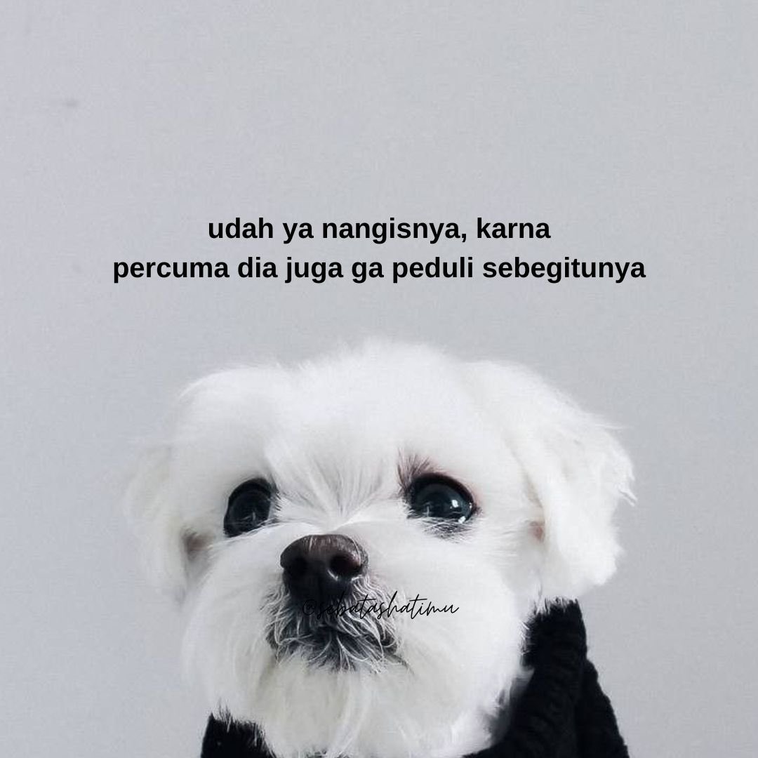 sebatashatimu's tweet image. udah ya nangisnya, karna percuma dia ga peduli sebegitunya