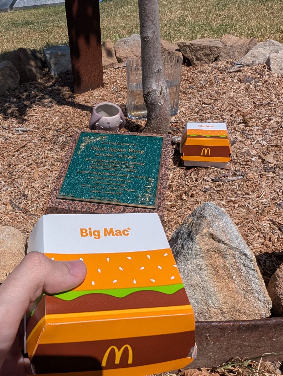 SockSSBM's tweet photo. Lunch with an ol' friend https://t.co/9xq8NYZeXR