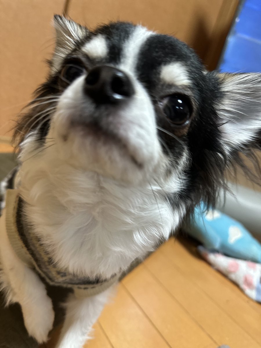 おはようございます🩷

本日17:00~オフ会よろしくおねがいいたします☺️
当日参加も歓迎です✨ https://t.co/ubfNsjdN4Z