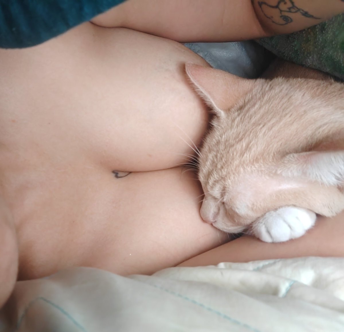 Un gatito dormido...