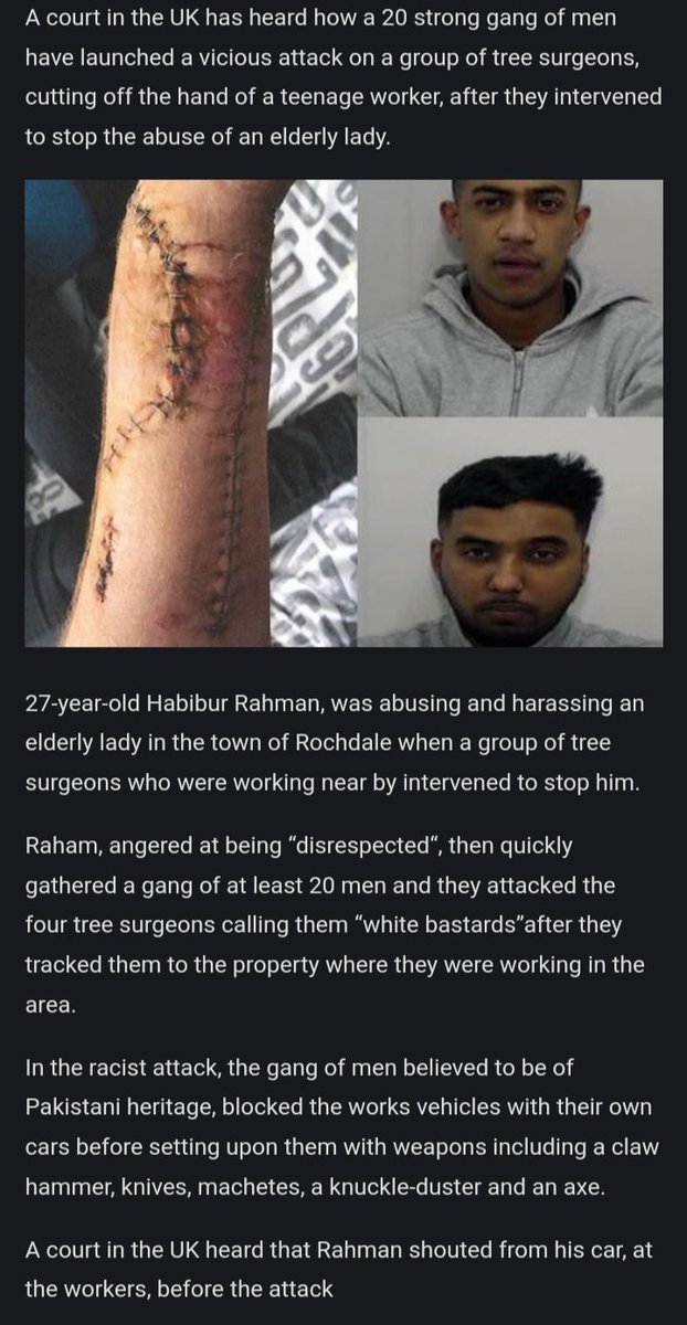 Patriotic Restorer tweet media