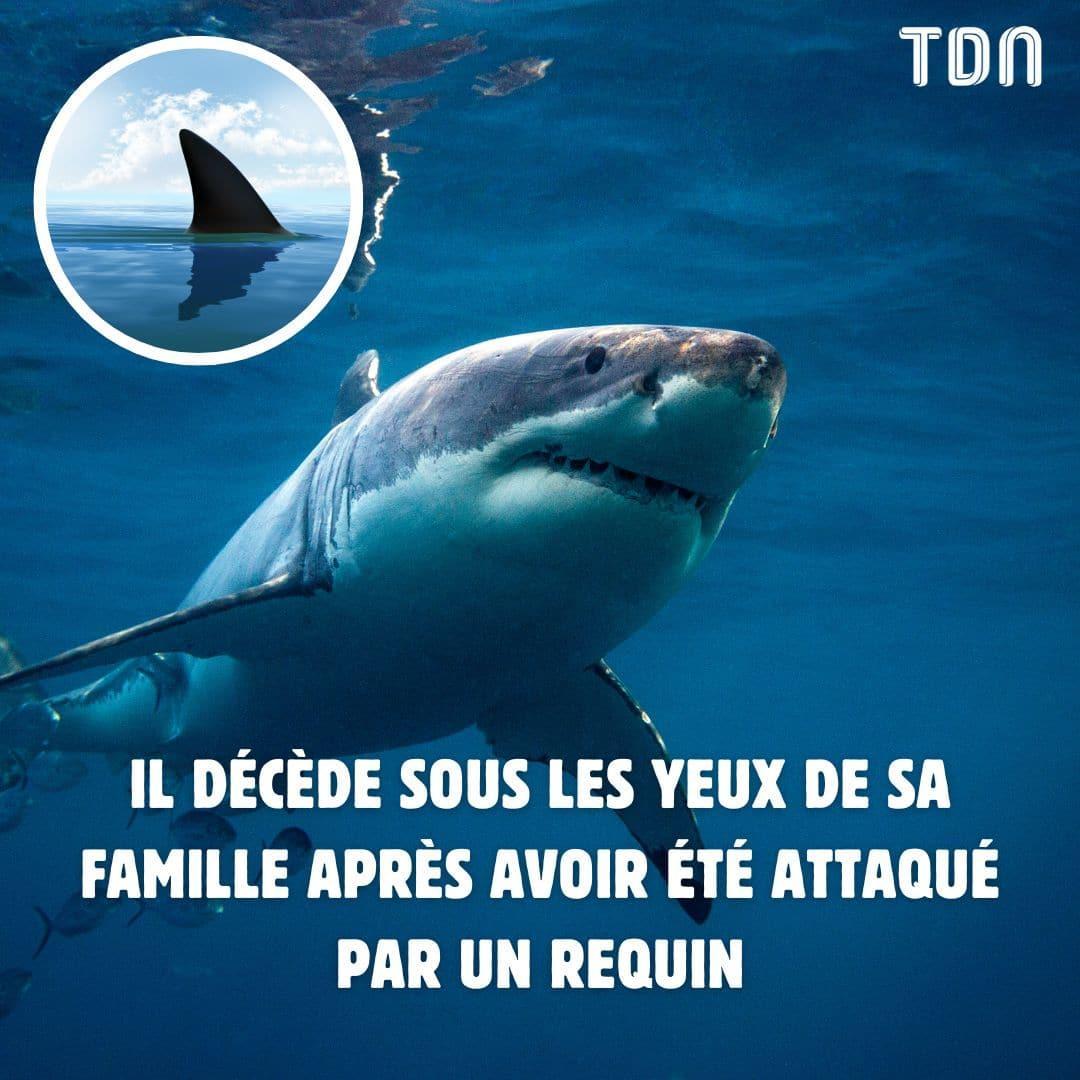 Il décède sous les yeux de sa famille après avoir été attaqué par un requin letribunaldunet.fr/faits-divers/i…
