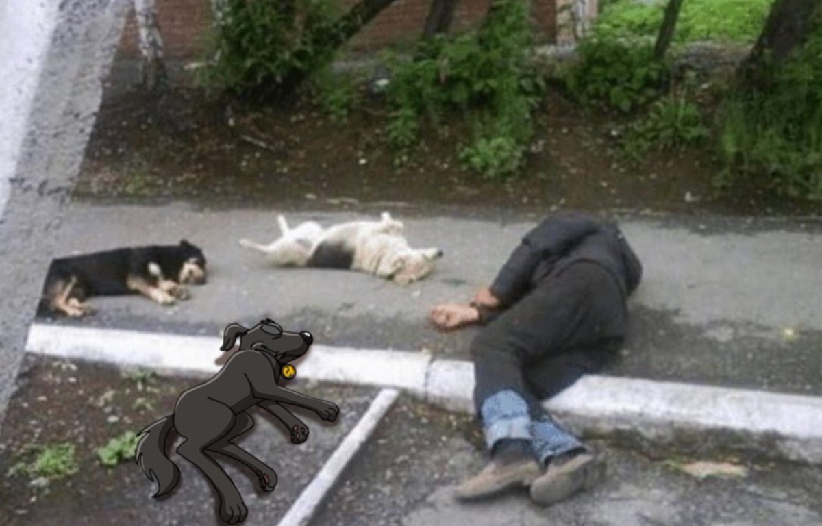 they told me to go find friends... I did