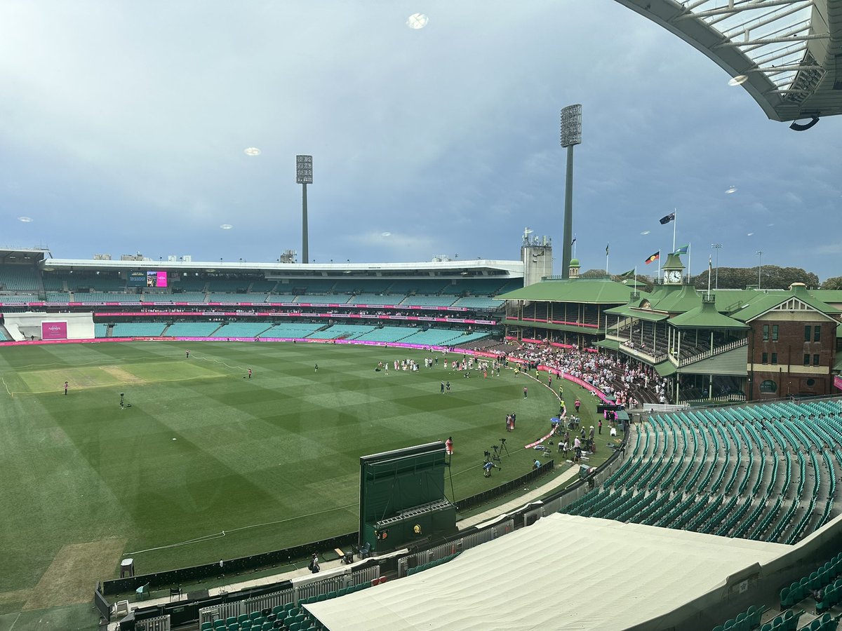 Lachlan McKirdy tweet media