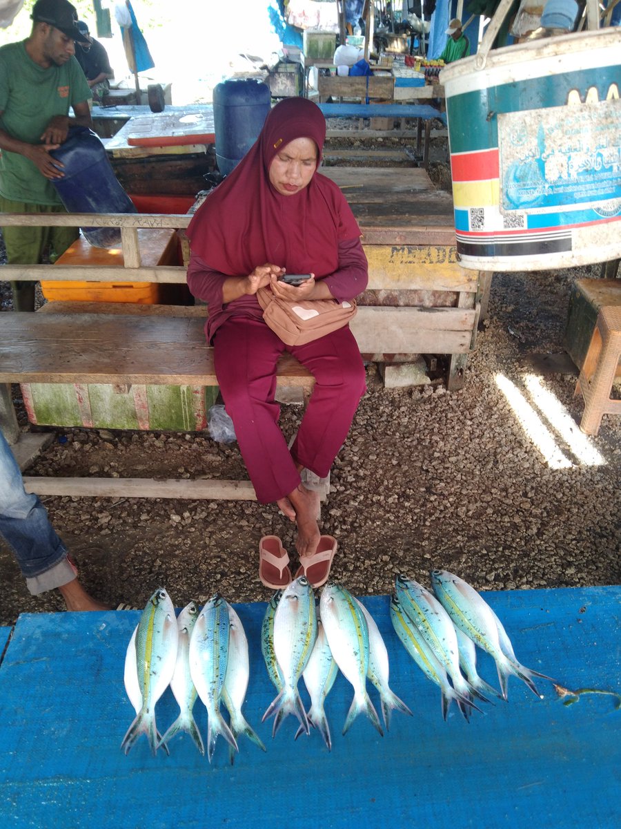 FerrySanamasse's tweet photo. Senin (23/12), @FerrySanamasse, Luhkan Kota Tual, Dsn. Fair, Pemasaran Hasil Perikanan, Ikan Ekor kuning 20kg, harga 20.000,. per kg

#GiatLuhkanSatminkalAmbon #KotaTual 
#pemasaran 
#luhlapor  
@bp3ambon
@puslatluhkp https://t.co/SvbfogSmxw