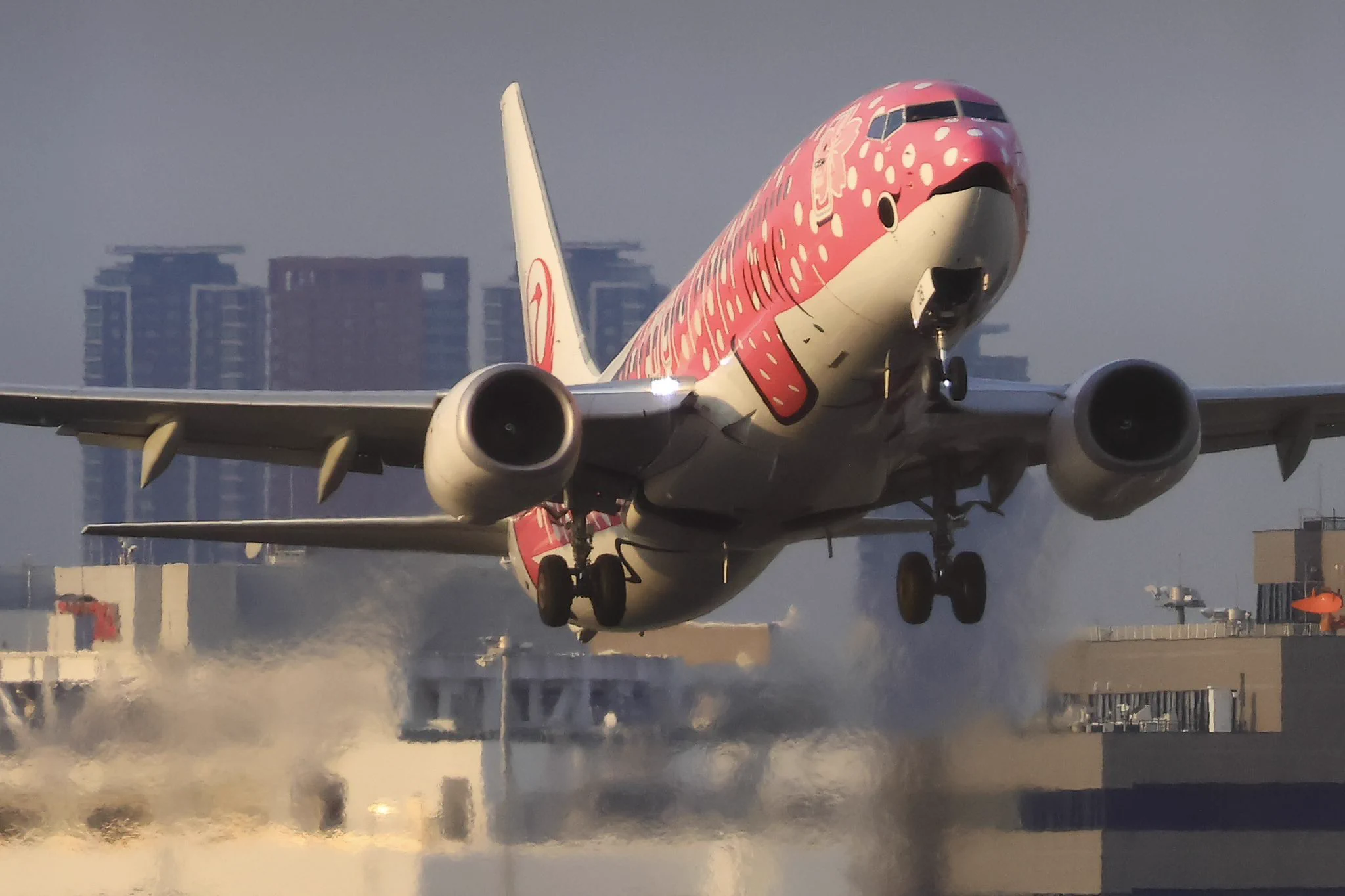 日本トランスオーシャン航空｜ JTA on X: 