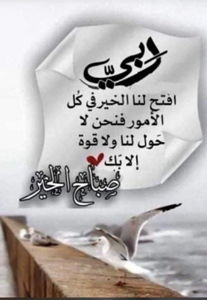 حمود الحازمي tweet media