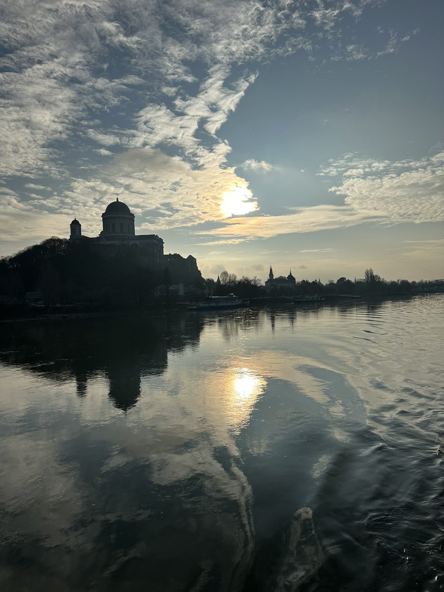 Meningioma Host tweet media