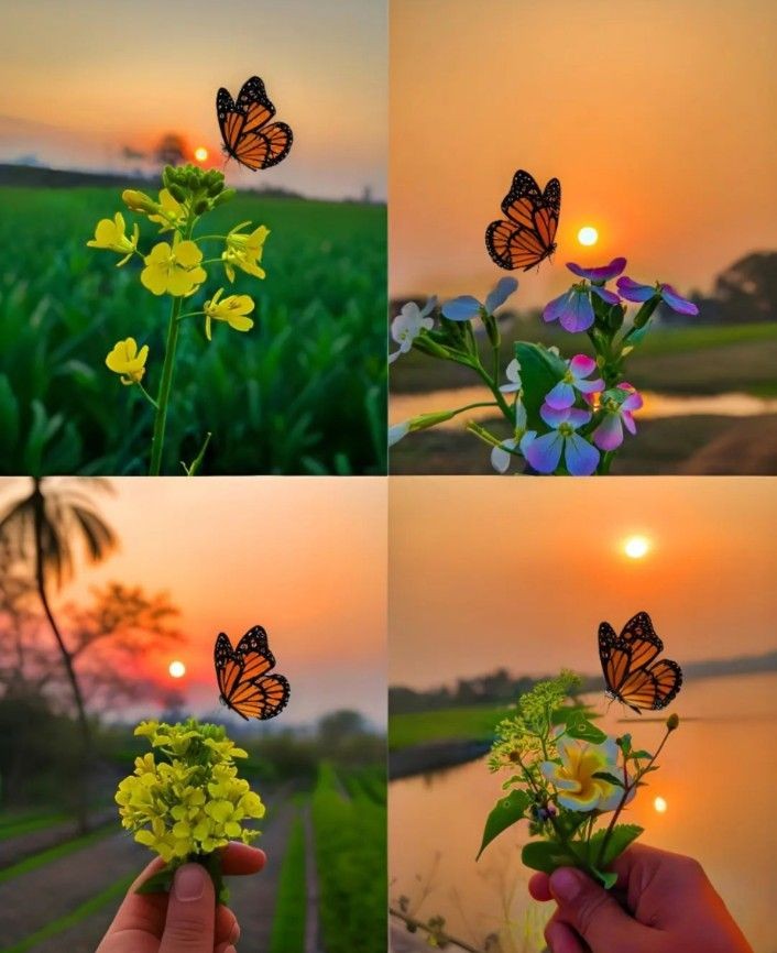 Aaj Sunday hai! Kya aap kuch relax karne ya fun activities karne ki planning kar rahe hain?
