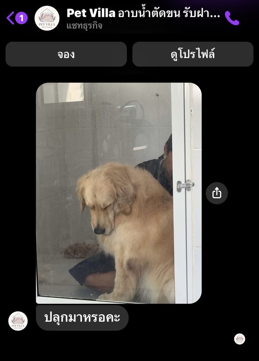 yoxrgravity's tweet photo. ลูกใคร ขี้เซาแบบนี้บ้าง https://t.co/UV9ZoOpzTc