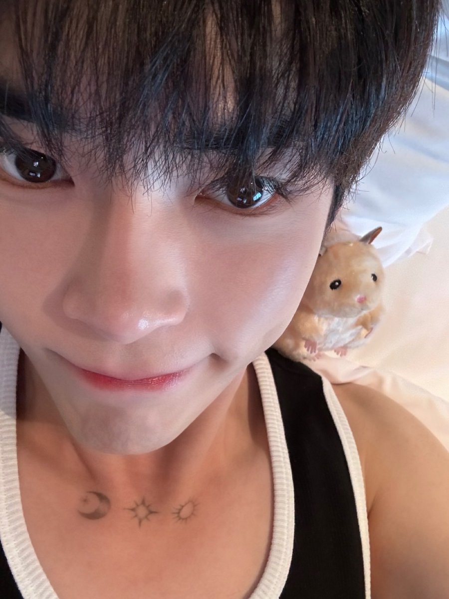 pinkforbin's tweet photo. https://t.co/wh3yxxRtXX