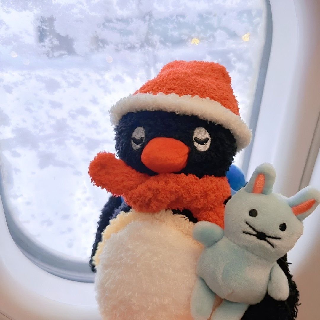 핑구 사진 주웠어. . . . 🐧