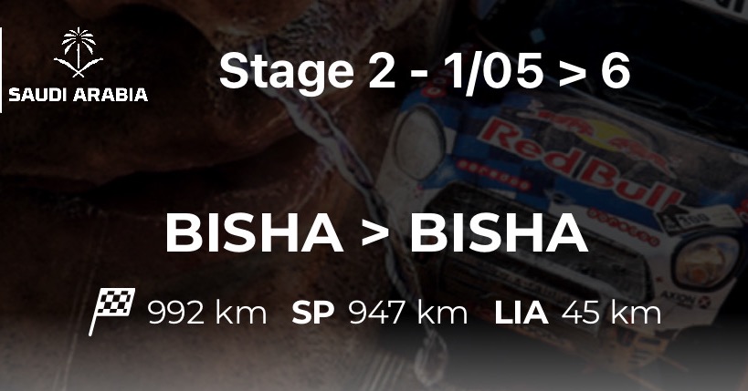 Team DakarSpeed tweet media