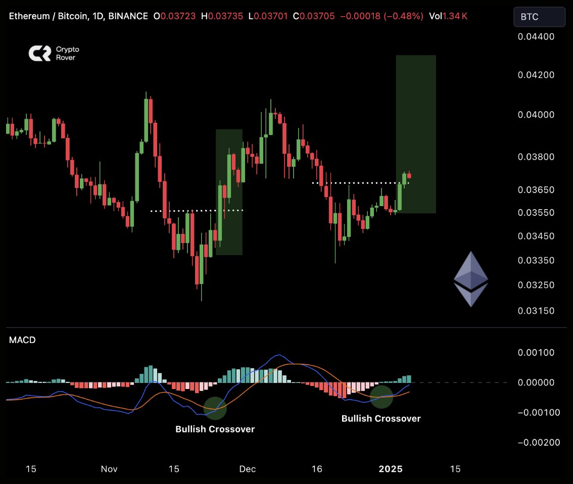 Crypto Rover tweet media