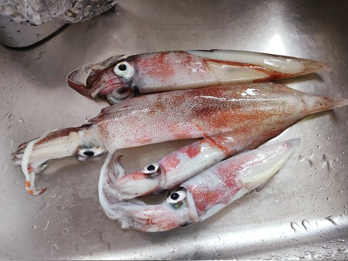 こちらは、昨日狩った獲物です。 