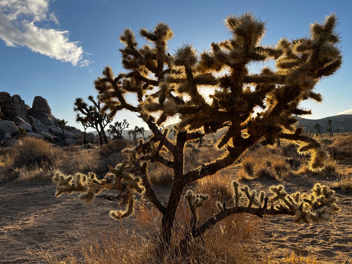 Rhesus🩸donor 🅱️⛔️ tweet media