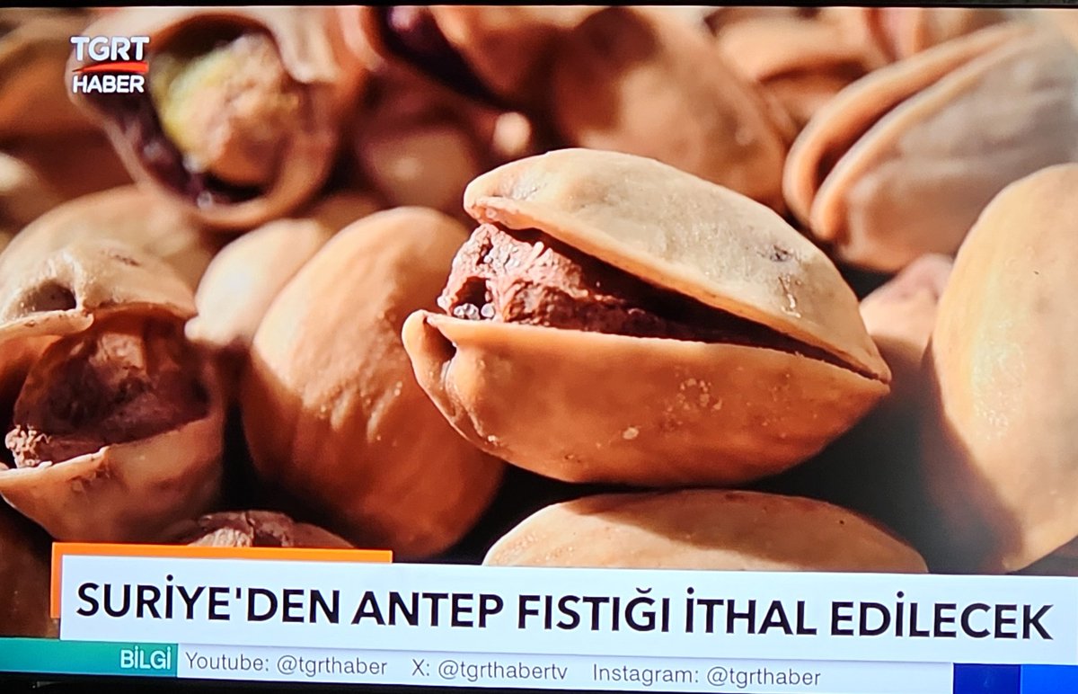 Geçen yıl 350 TL olan kırmızı kabuklu URFA FISTIĞI şuanda 300 TL.
Ne hikmetse bakanlık artan fiyatlar yüzünden suriyeden ithal etmek gerekir diyor ve ithali başlatıyor. Allah rızası için siz çiftçiyi bitirmekmi istiyorsunuz. Fıstık fiyatlarını nereye çekmeyi planlıyorsunuz