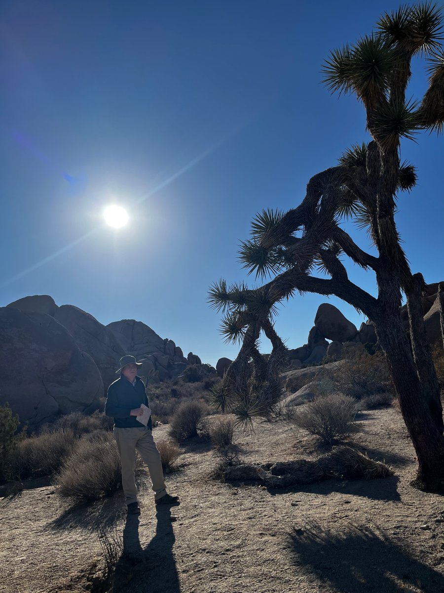 Rhesus🩸donor 🅱️⛔️ tweet media