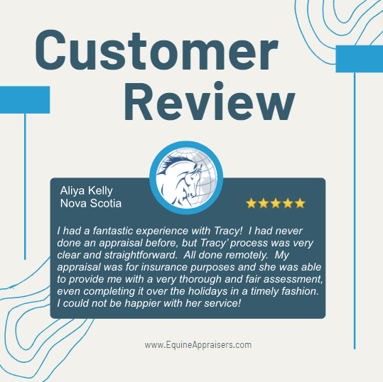 daventryequine's tweet photo. A new review for Daventry Appraisal Services. https://t.co/9aXIl5VqL0 https://t.co/vftQsBB6Ts