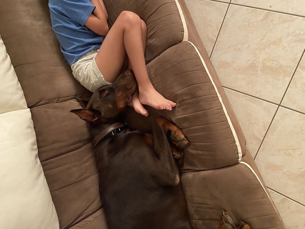 DoGslvt6's tweet photo. You know what my pup likes haha guess!? 

https://t.co/wTDgO9VZ8r https://t.co/PPLFFpGoRu