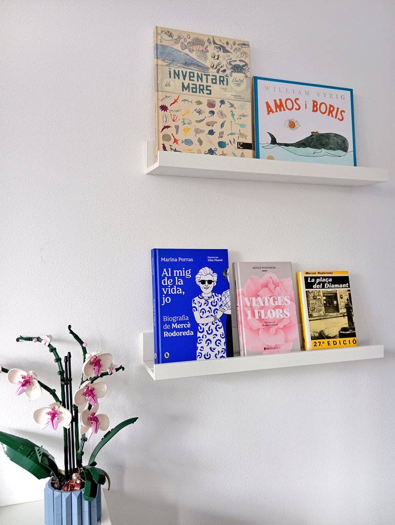 Marta Cava tweet media