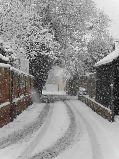 elemmiressoul's tweet photo. winter days.*:･ﾟ🩶*:･ﾟ https://t.co/wQ7NsmSizY