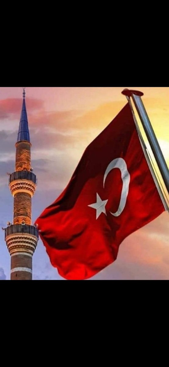 maykıl nayt (@ciloglu_erdal) on Twitter photo 