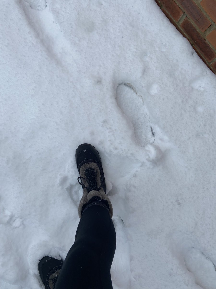 AClarky76's tweet photo. Time for snow boots! Lovely walk in the snow around the village x https://t.co/ceBBdyagcL