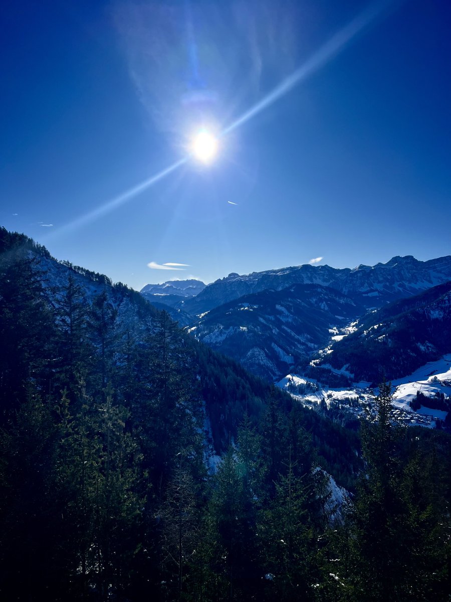 alessandro tweet media