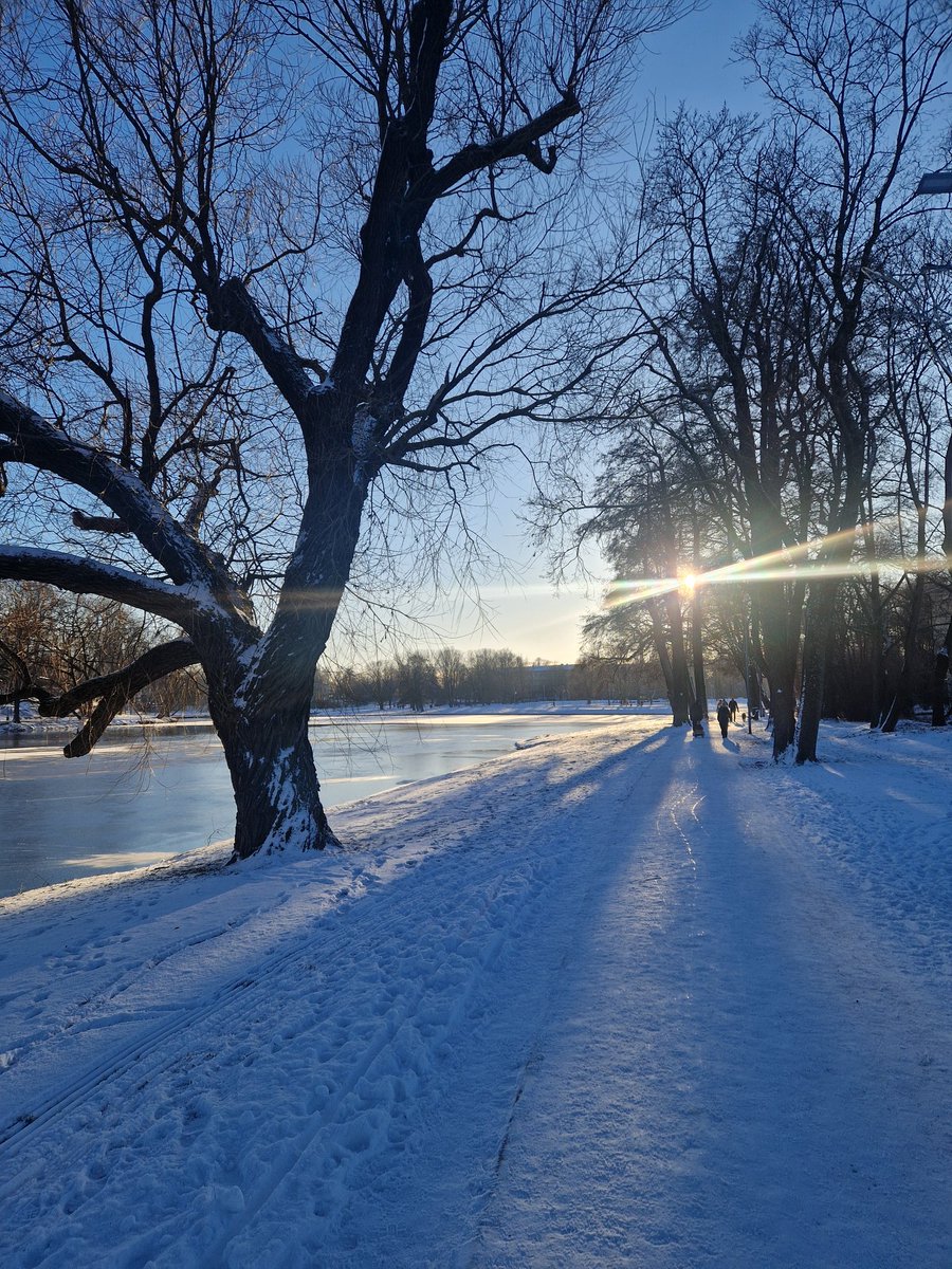 Kārlis Ozols tweet media