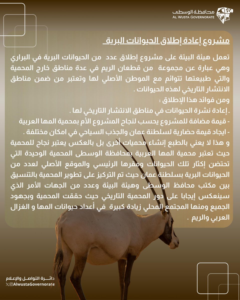 AlwustaGovernor's tweet photo. إضاءات على مشروع إعادة إطلاق الحيوانات البرية بسلطنة عمان..
@ea_oman
@Oman_GC https://t.co/9WqzUTUkpP