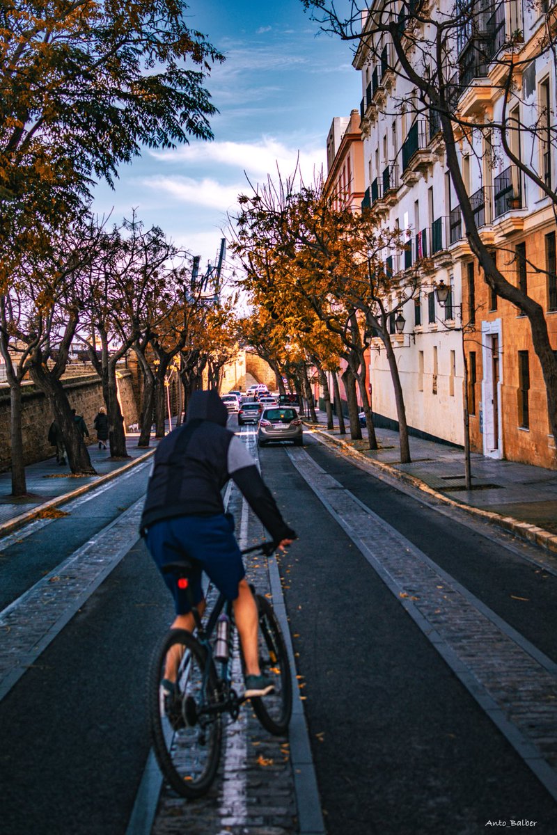 Así es Cádiz desde mi objetivo. Se coló en la foto. Ha quedado hasta bien. 📸📸📸🌅🌅🌅