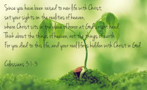 butch4jc's tweet photo. “Nothing in you that has not died will ever be raised from the dead. Look for yourself, and you will find in the long run only hatred, loneliness, despair, rage, ruin, and decay. But look for Christ and you will find Him, and with Him everything else thrown in.” CS Lewis https://t.co/Hb2mZMHTZk