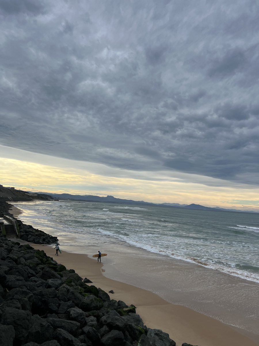 Kym Aust-Howlett tweet media