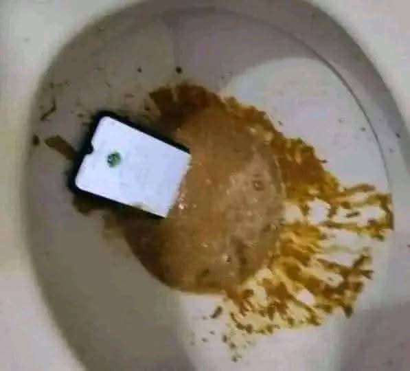 BIn1080p's tweet photo. @NoContextHumans https://t.co/phKi5m926t