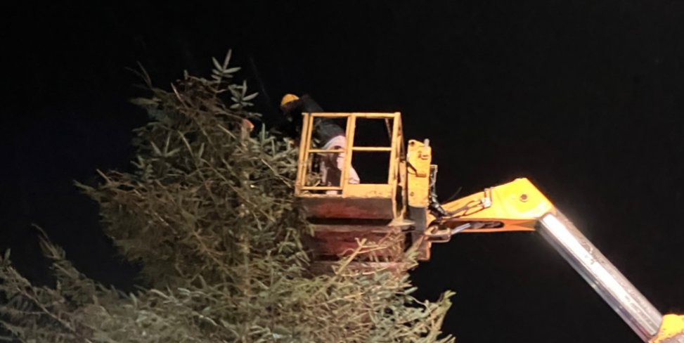 BerwickUTRotary's tweet photo. Early today while still dark, the Berwick Christmas tree (organised by @BerwickUTRotary) was taken down. By daylight it had been cut up &amp; ready to be taken away. It involved rather more equipment than squeezing a tree through a loft hatch.
Thanks to all involved. #Rotary #Berwick https://t.co/5LPmJQfIVD