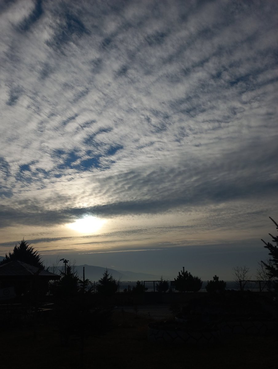 𝓢𝓮𝓿𝓿𝓪𝓵 • (@swevvall) on Twitter photo 