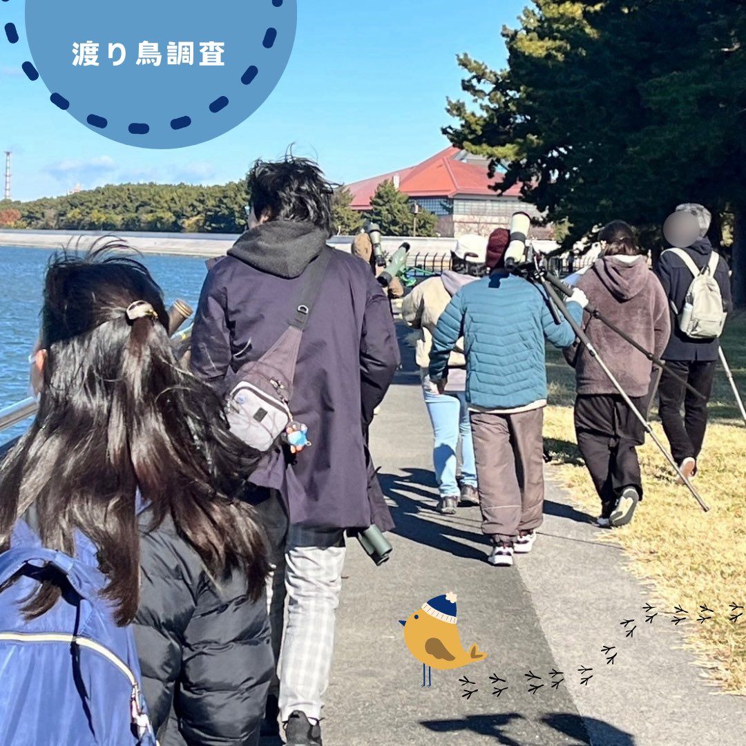 protect_23's tweet photo. 2024年12月14日
野鳥観察館

野鳥観察館でイベントに参加し、その後お話を伺いました💬

野鳥観察館の方は、藤前干潟の存在と魅力をもっと知って欲しいと仰っていました。
藤前干潟は都市部から気軽に来られる位置にあります🌃
皆さんもぜひ来てみてはいかがでしょうか👣

#藤前干潟 #野鳥観察館 https://t.co/5btyYc5Ra6