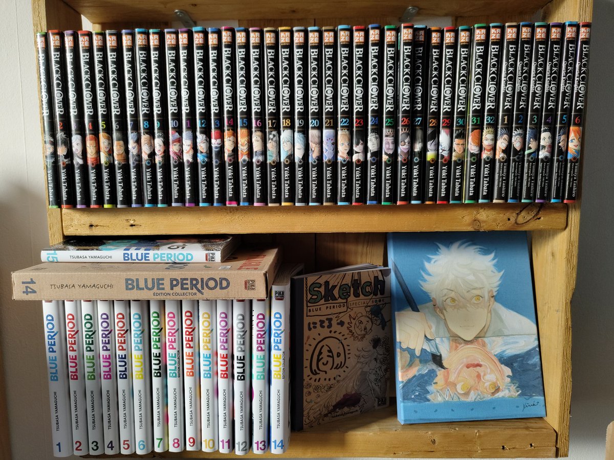 Maoul_'s tweet photo. Update : 
1 an sans update, j'ai plus de place. Me manque quelques trucs genre le 3eme roman de Bleach que j'oublie à chaque fois de prendre. https://t.co/IkT7wqj6Dy