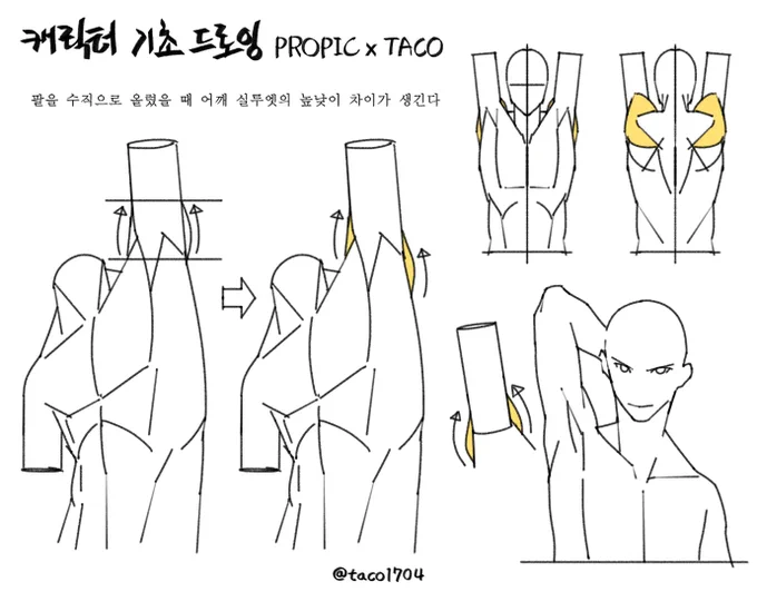 팔을 수직으로 올렸을 때 어깨 실루엣의 높낮이 차이가 생긴다 
腕を垂直に上げた時に肩のシルエットの高低差が生じる 